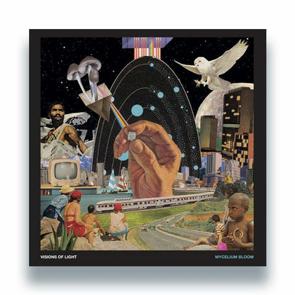 Visions Of Light – Mycelium Bloom (LP, Nunorthern Soul, 2026) Front Cover