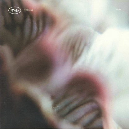Vnnn. , Nadia Struiwigh – TECH042 (12", TECHNO Records, 2026) Front Cover