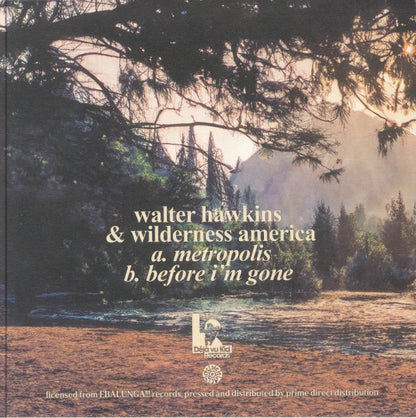 Walter Hawkins Wilderness America – Metropolis / Before I'm Gone (7", Déjà vu Kid Records, 2024) Back Cover