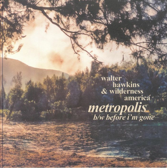 Walter Hawkins Wilderness America – Metropolis / Before I'm Gone (7", Déjà vu Kid Records, 2024) Front Cover