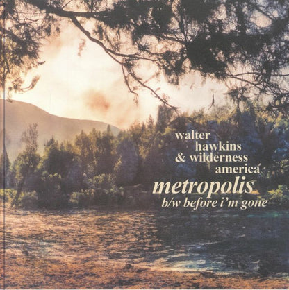 Walter Hawkins Wilderness America – Metropolis / Before I'm Gone (7", Déjà vu Kid Records, 2024) Front Cover
