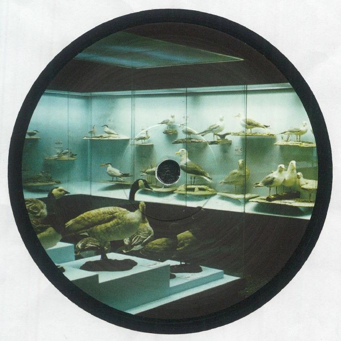 Yogg – Don't You (12", Polarized Future, 2026) Front Cover