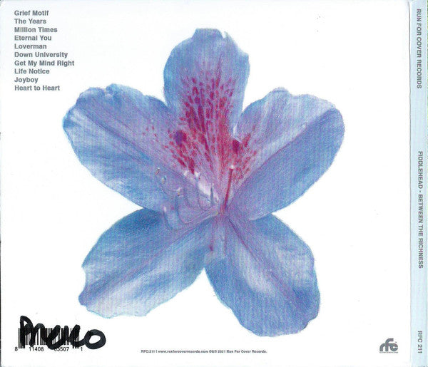 Fiddlehead (2) : Between The Richness (CD, Album)