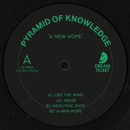 Pyramid Of Knowledge : A New Hope (12", EP)