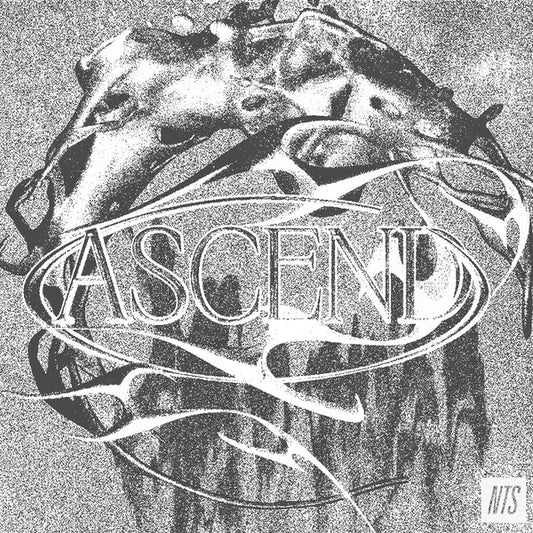 Various : ASCEND (LP, Comp)