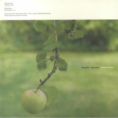 Ozmotic | Fennesz : Senzatempo (LP, Album, Ltd)