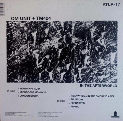 Om Unit + TM404 : In The Afterworld (LP, Album)
