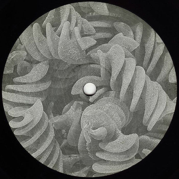 Marco Bernardi : Shuiler (12")