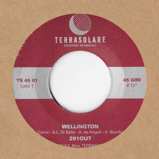 291out - Wellington / Digested Wellington (7") Terrasolare Vinyl
