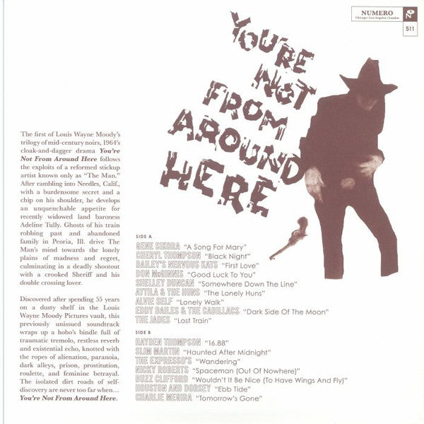 Various : You're Not From Around Here (LP, Comp, RE)