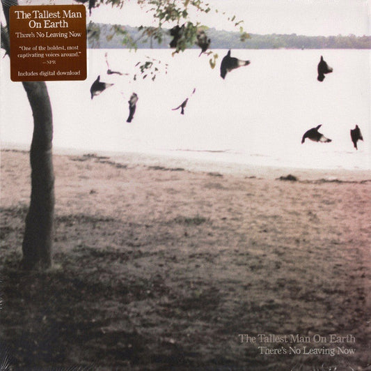 The Tallest Man On Earth : There's No Leaving Now (LP, Album)