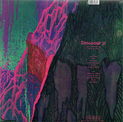 Dinosaur Jr. : Give A Glimpse Of What Yer Not (LP, Album)