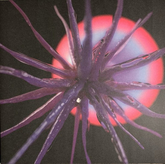 Agonis – Neutropia (2xLP, amenthia recordings, 2021) Front Cover