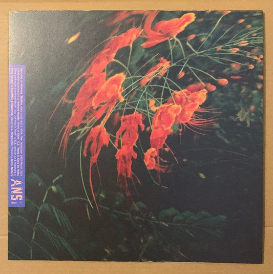 Anthony Naples - Chameleon (LP) ANS Vinyl