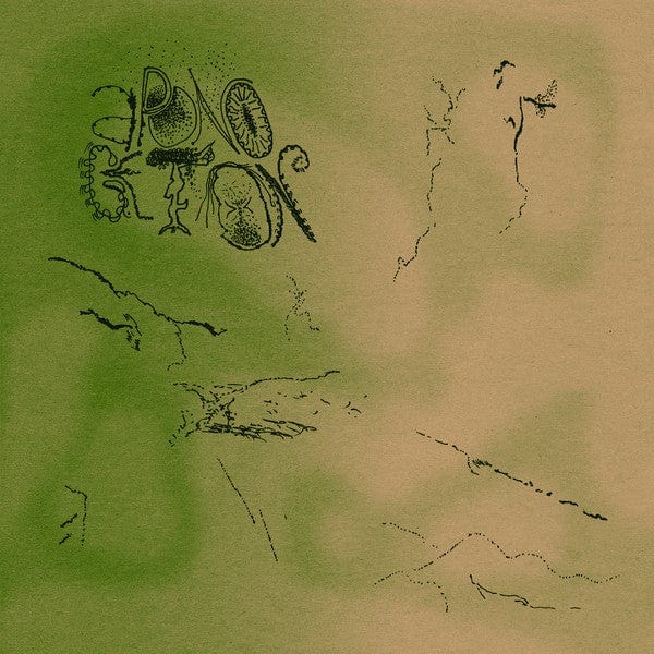 Aponogeton - A Place Of Solace (LP) STROOM 〰 Vinyl 8713748985639