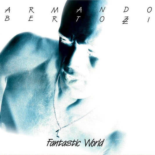 Armando Bertozzi - Fantastic World (LP) Orbeatize Vinyl