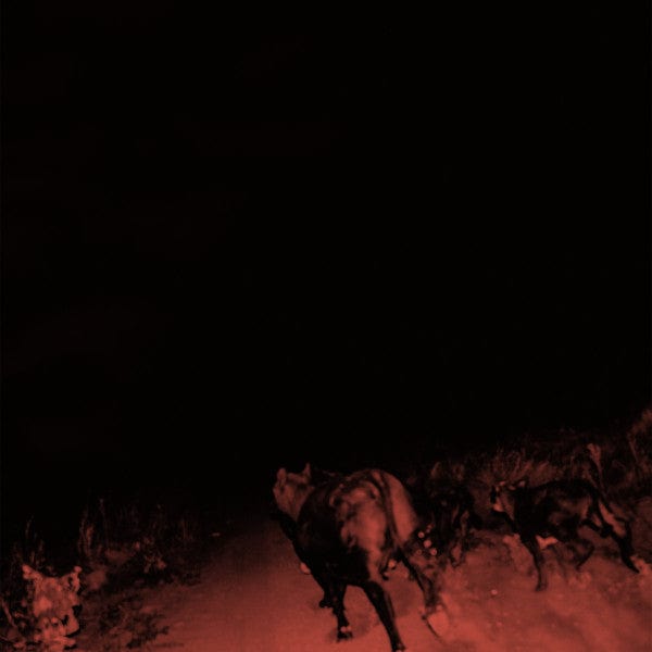 Bambara (2) - Shadow On Everything (LP) Wharf Cat Records Vinyl 616892567240