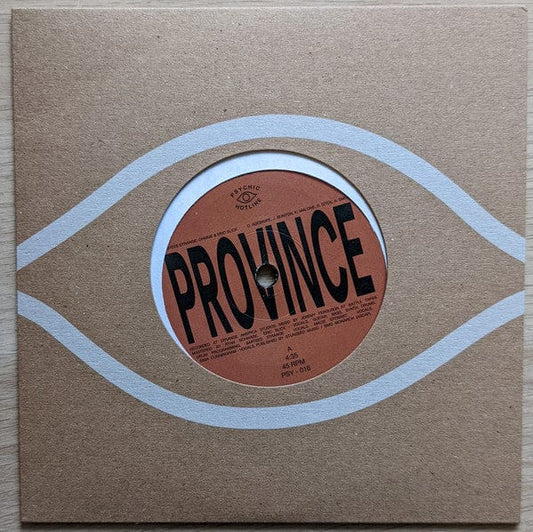 Bartees Strange, Eric Slick, Ohmme (2) / Anjimile - Province / Ever New (7") Psychic Hotline Vinyl