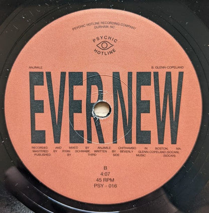 Bartees Strange, Eric Slick, Ohmme (2) / Anjimile - Province / Ever New (7") Psychic Hotline Vinyl