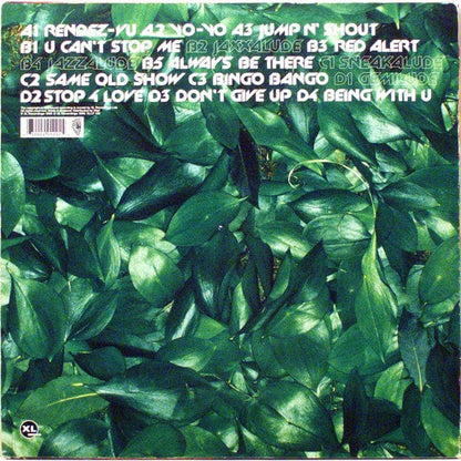 Basement Jaxx – Remedy (2xLP, XL Recordings, 1999) Back Cover