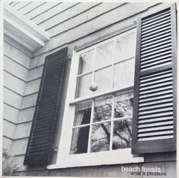 Beach Fossils - What A Pleasure (12") Bayonet Records Vinyl 859575005503