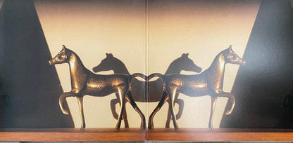 Beirut – Artifacts (2xLP, Gatefold, Pompeii Records, 2022) Image 3