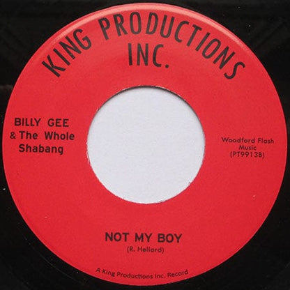 Billy Gee & The Whole Shabang - I'll Stop At Nothing (7") Perfect.Toy Records Vinyl