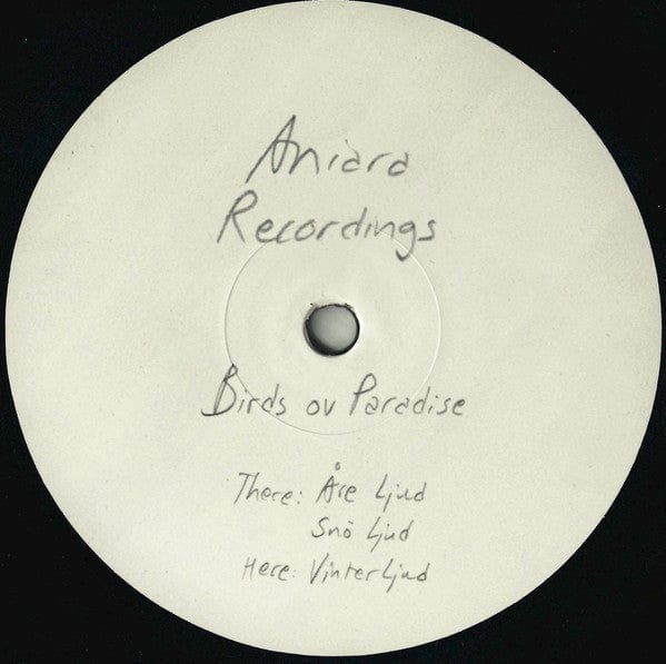 Birds Ov Paradise - Vinter Ljud (12") Aniara Recordings