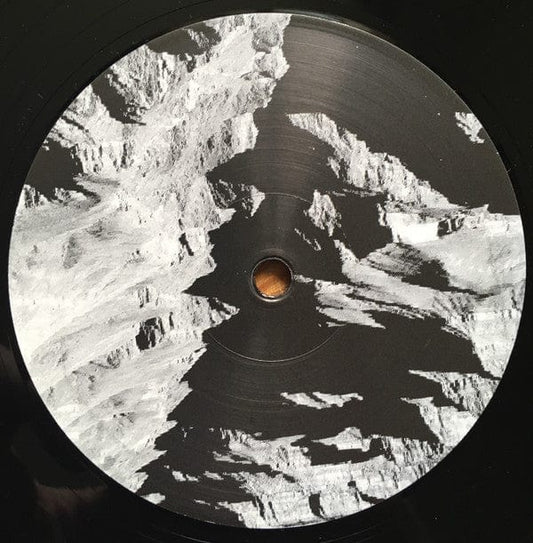 Bnjmn - Paean (12") Tiercel Vinyl