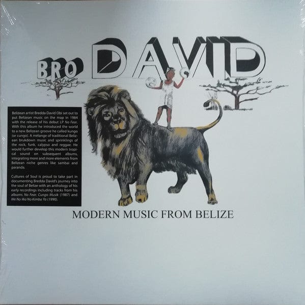 Bro. David - Modern Music From Belize (LP) Cultures Of Soul Records Vinyl 820250002810