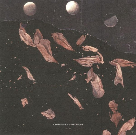 Christopher Schwarzwälder - Leaves (12") Denature Records Vinyl
