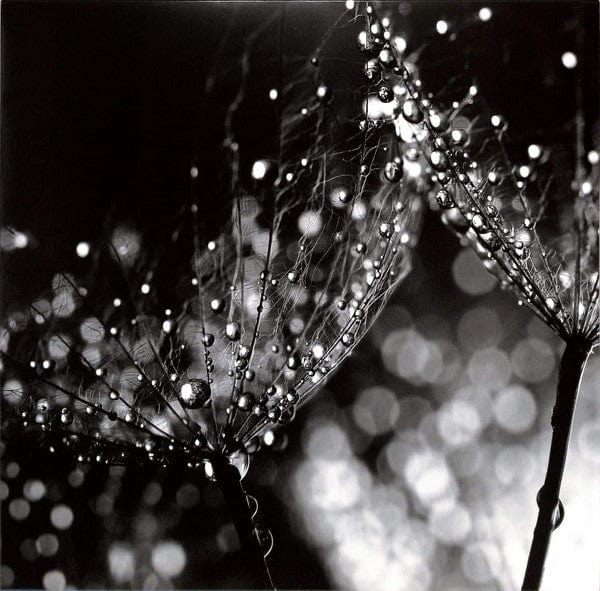 Cio D'or - Fluidum III (12") Semantica Records Vinyl