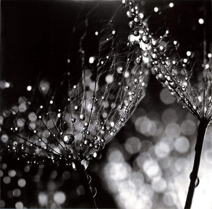 Cio D'or - Fluidum III (12") Semantica Records Vinyl