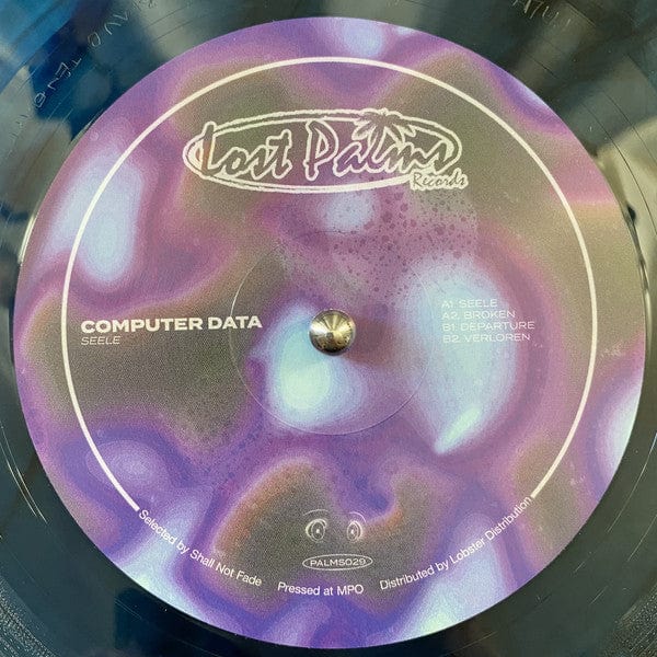 COMPUTER DATA – Seele EP (12", Blue Marbled, Lost Palms, 2020) Front Cover