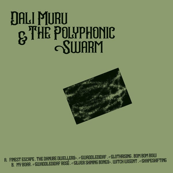 Dali Muru & The Polyphonic Swarm - Dali Muru & The Polyphonic Swarm (LP) Stroom (2) Vinyl