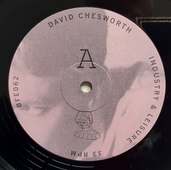 David Chesworth – Industry & Leisure (LP, B.F.E Records, 2021) Image 4
