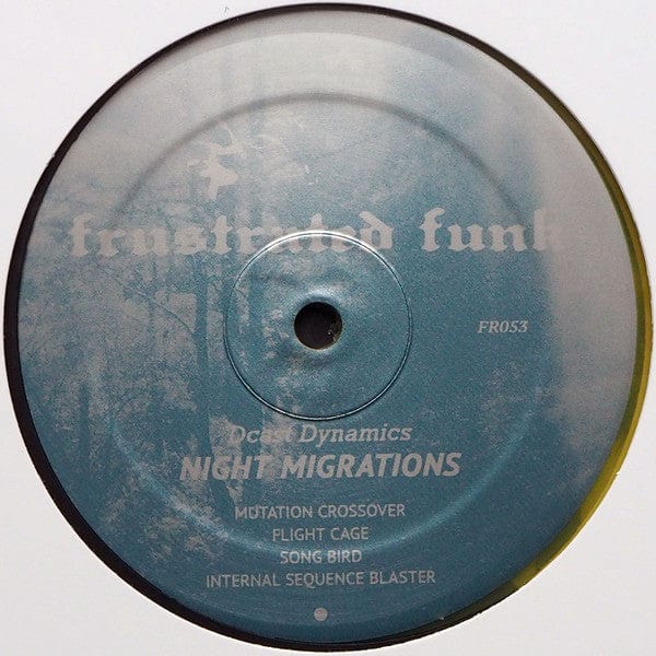 Dcast Dynamics - Night Migrations (12") Frustrated Funk Vinyl
