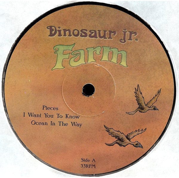 Dinosaur Jr. - Farm (2xLP) Jagjaguwar Vinyl 656605215013