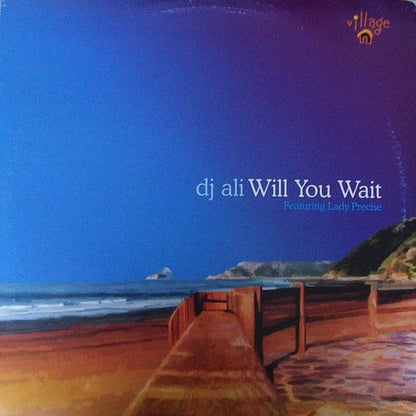 DJ Ali - Will You Wait (12") Village Sound Vinyl