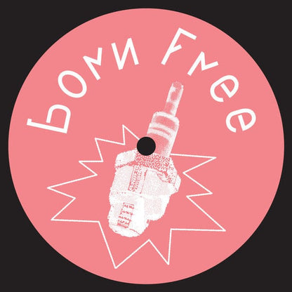 DJ Sling - The Secret EP (12") Born Free Records Vinyl
