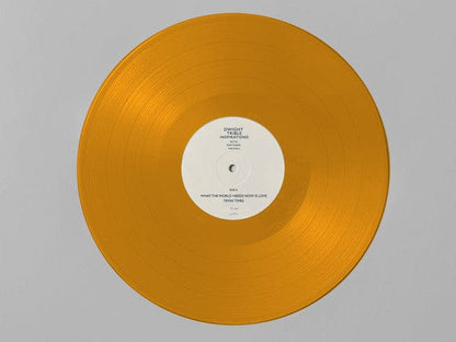 Dwight Trible With Matthew Halsall - Inspirations (2xLP) Gondwana Records Vinyl