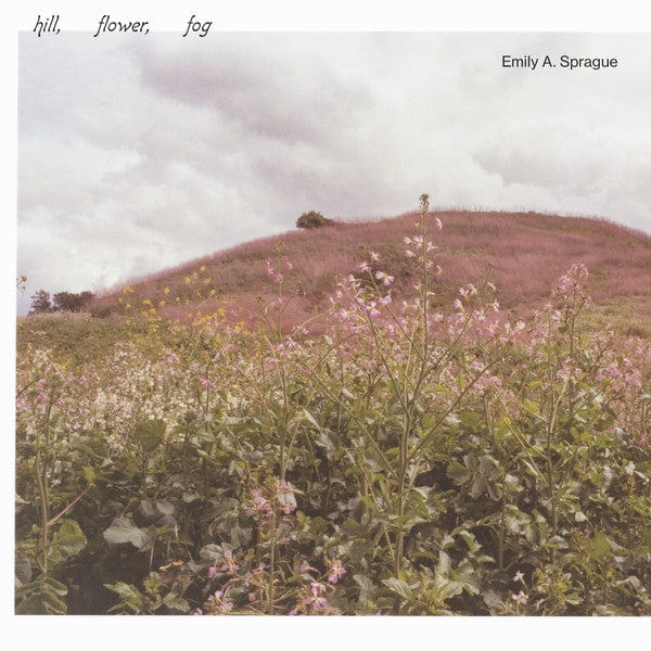 Emily A. Sprague* - Hill, Flower, Fog (LP) Rvng Intl. Vinyl 747742383434
