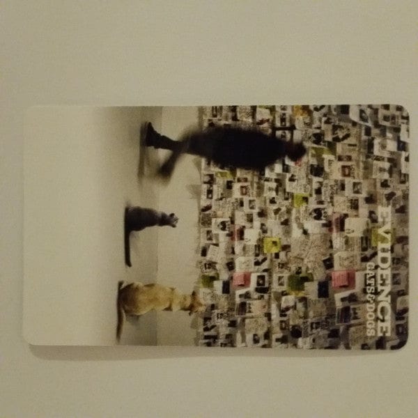 Evidence / Cats & Dogs 2LP レコード Evidence / Cats & Dogs 2LP