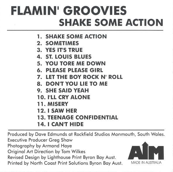 Flamin' Groovies - Shake Some Action (CD)