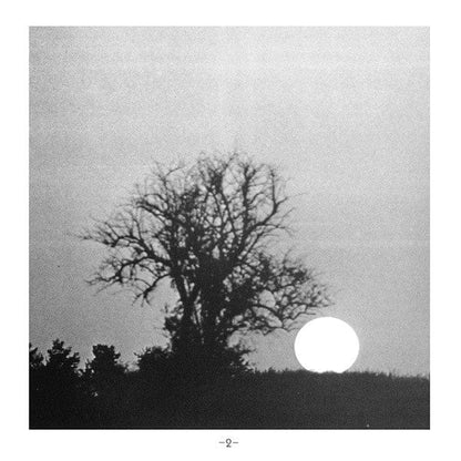 Fleetwood Mac – Bare Trees (CD, Reprise Records) Image 4