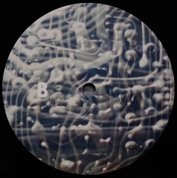 Floris Vanhoof - The Fluid Computer (LP) (K-RAA-K)³, Not On Label (Floris Vanhoof Self-released) Vinyl