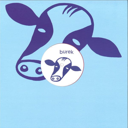 Gene Hunt - Reborn Rhythms EP (12") Burek Vinyl