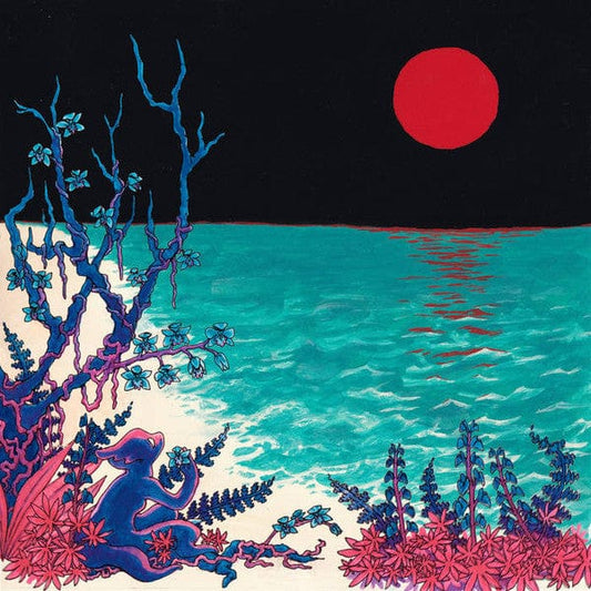 glass beach - The First Glass Beach Album (2xLP) Run For Cover Records (2) Vinyl