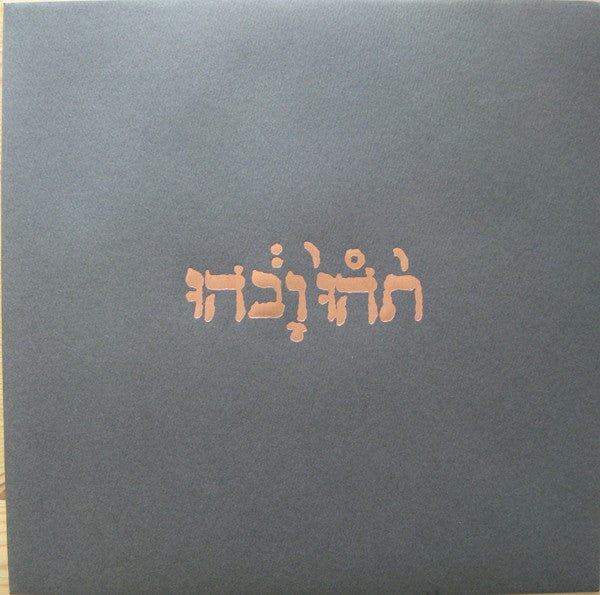 Godspeed You Black Emperor! - Slow Riot For New Zero Kanada E.P. (12") Constellation Vinyl 666561000615