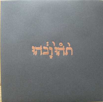 Godspeed You Black Emperor! - Slow Riot For New Zero Kanada E.P. (12") Constellation Vinyl 666561000615